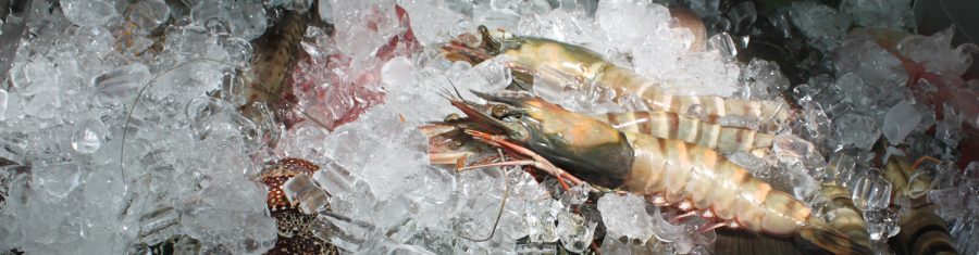 Fisch und Meeresfrüchte